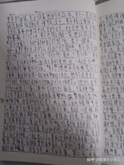 我的爱情在奔跑