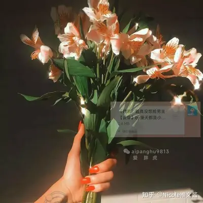 我真没想当大网红啊