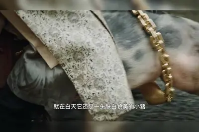 我真是算命先生