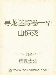 寻龙迷踪卷一华山惊变