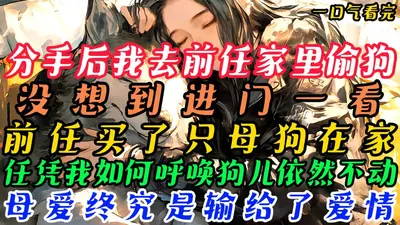 忠犬前任很难缠